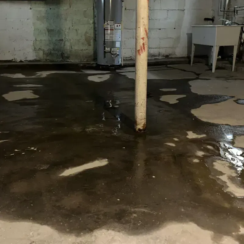 Emergency Water Extraction And Removal in Cape May Court House, NJ